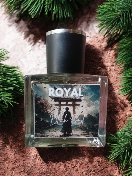 BLACK SOUL Our Impression Of CK EUPHORIA